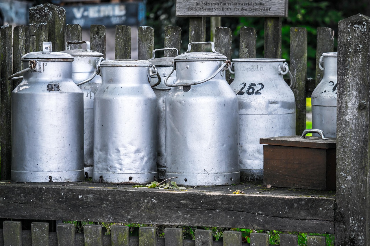 Traditional dairy products